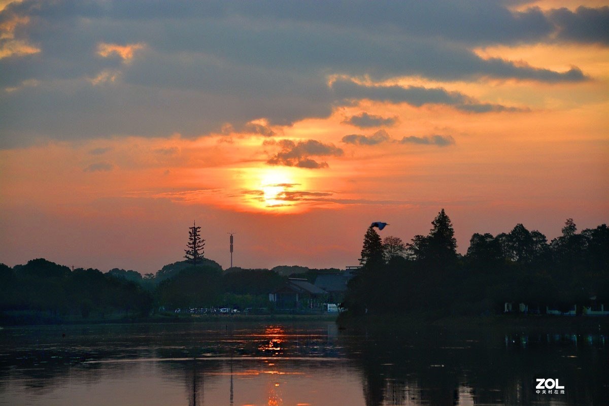 #版主坐堂#索尼大版星空(中国)2020年12月份优秀作品精选汇总