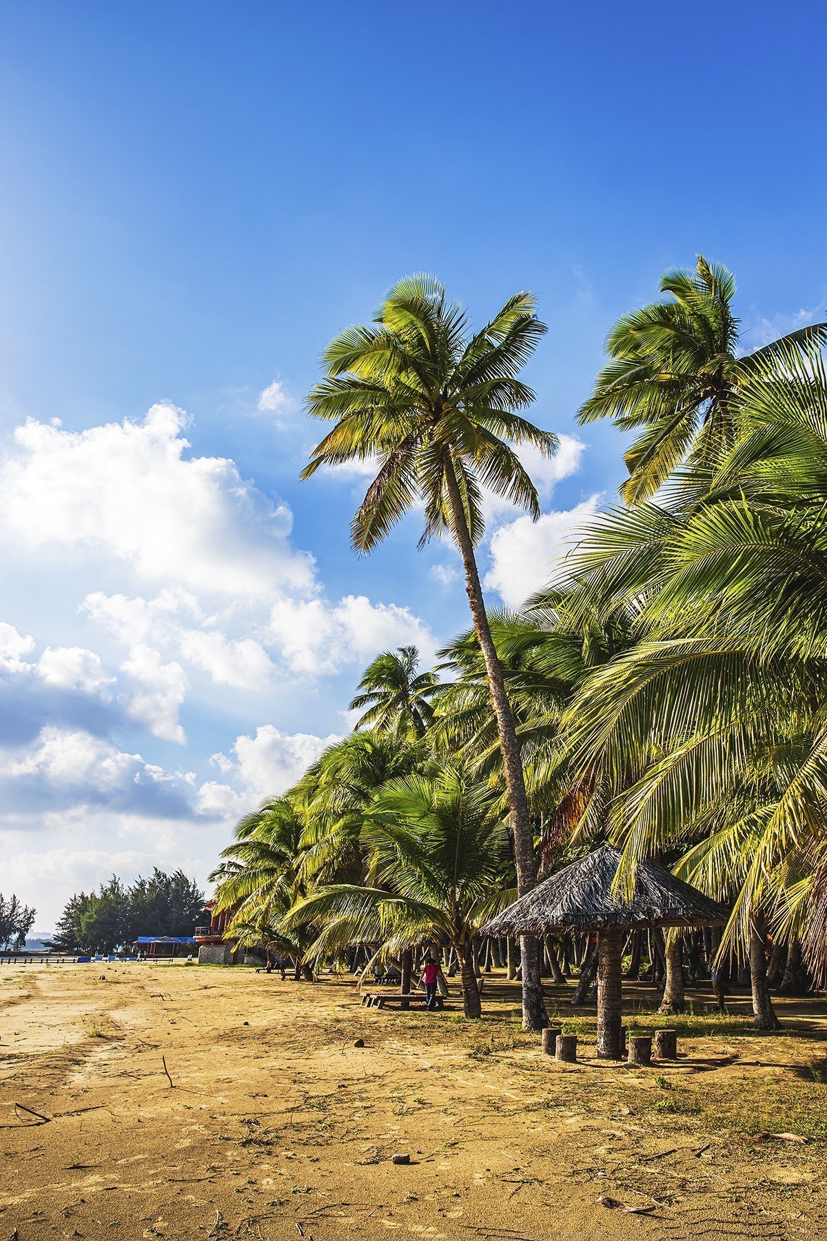 旅游记录海南陵水椰林湾