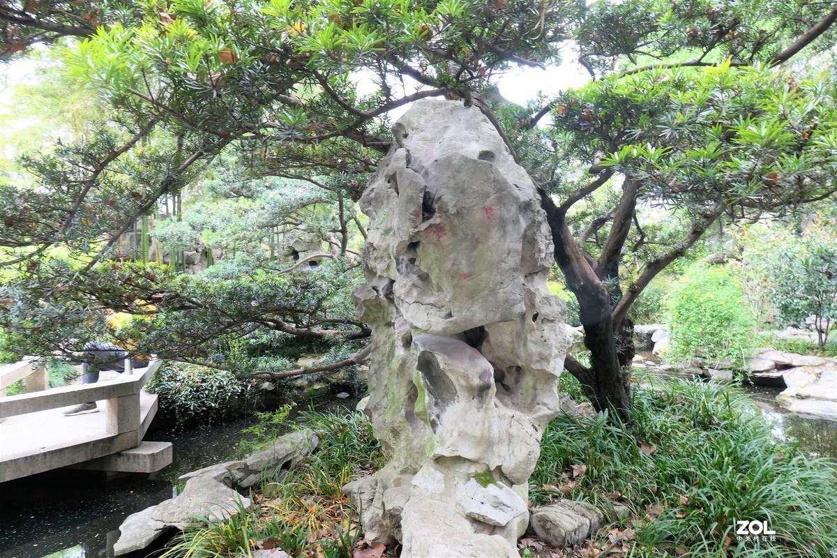 【八景图掠影】——摄于上海静安公园