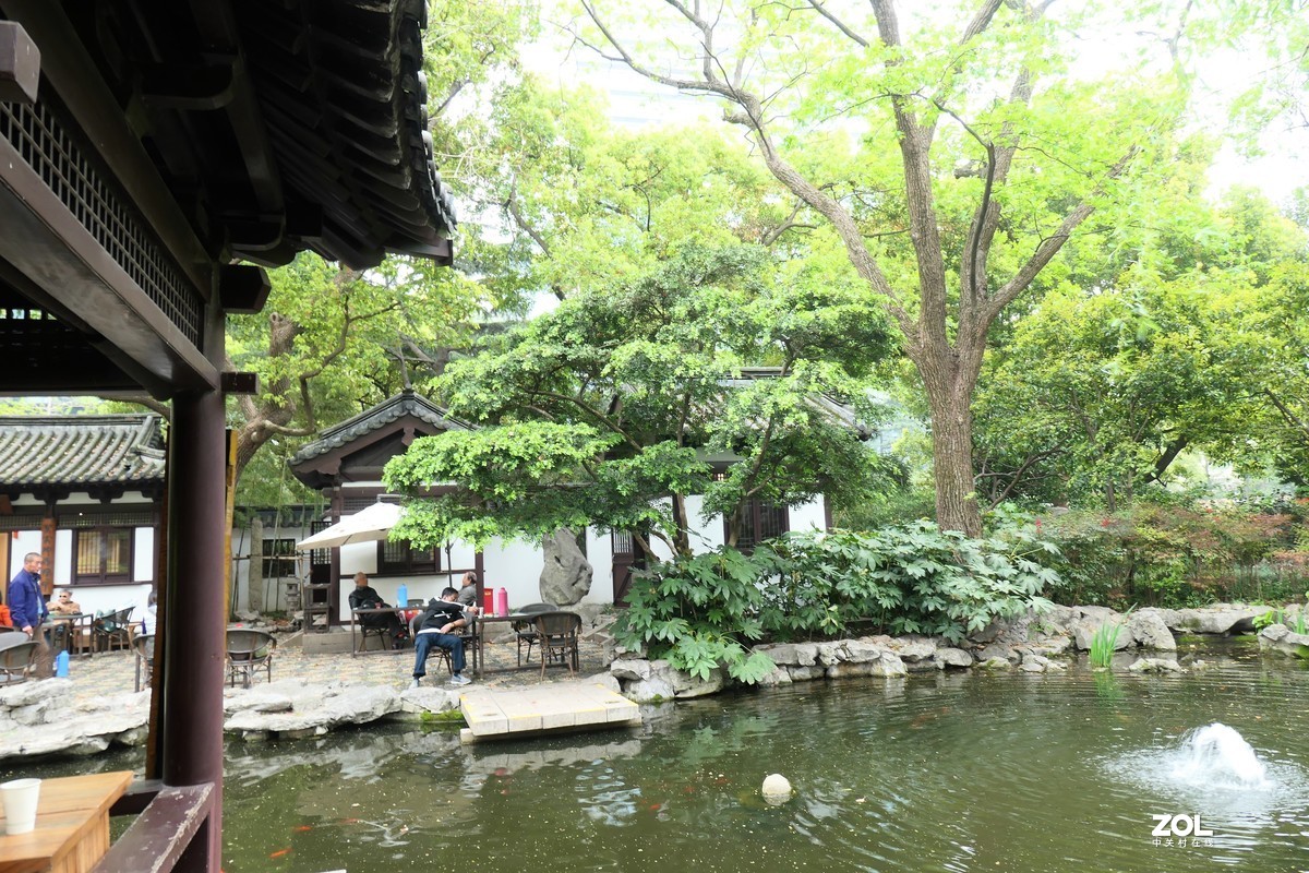 【八景图掠影】——摄于上海静安公园