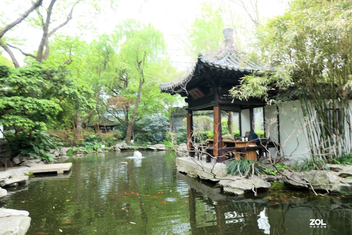 【八景图掠影】——摄于上海静安公园