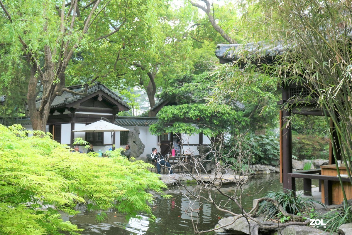 【八景图掠影】——摄于上海静安公园