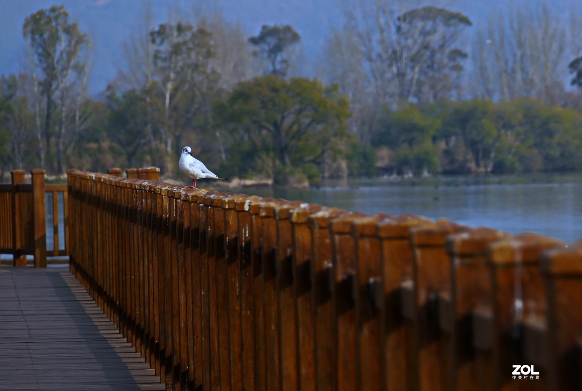 旧照整理三——2017年西昌琼海