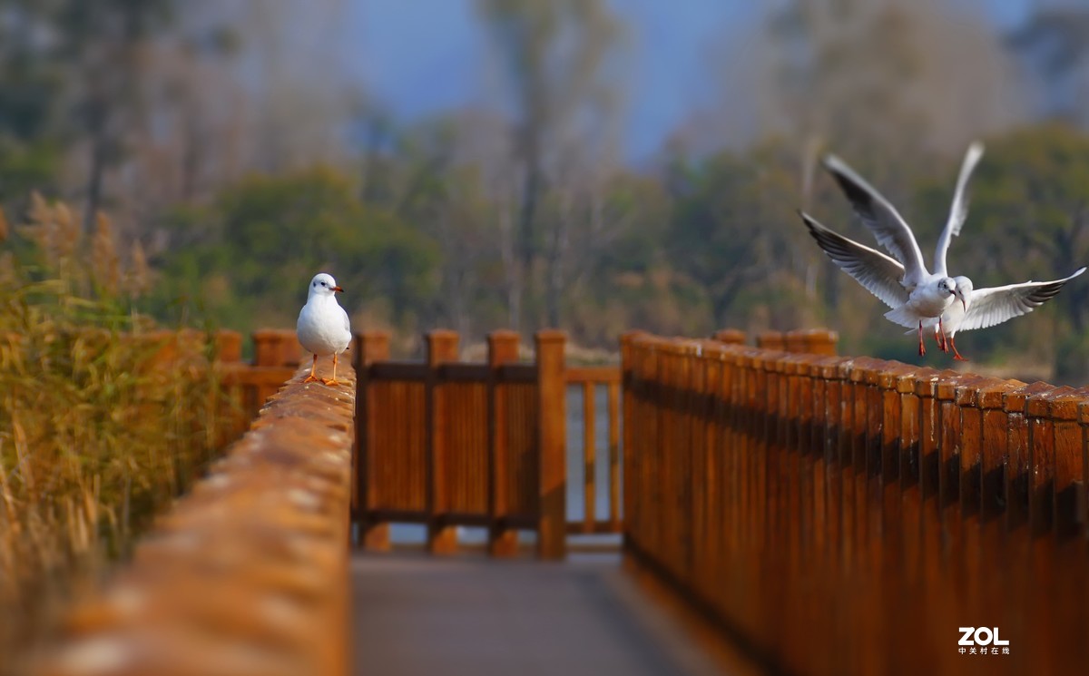 旧照整理三——2017年西昌琼海