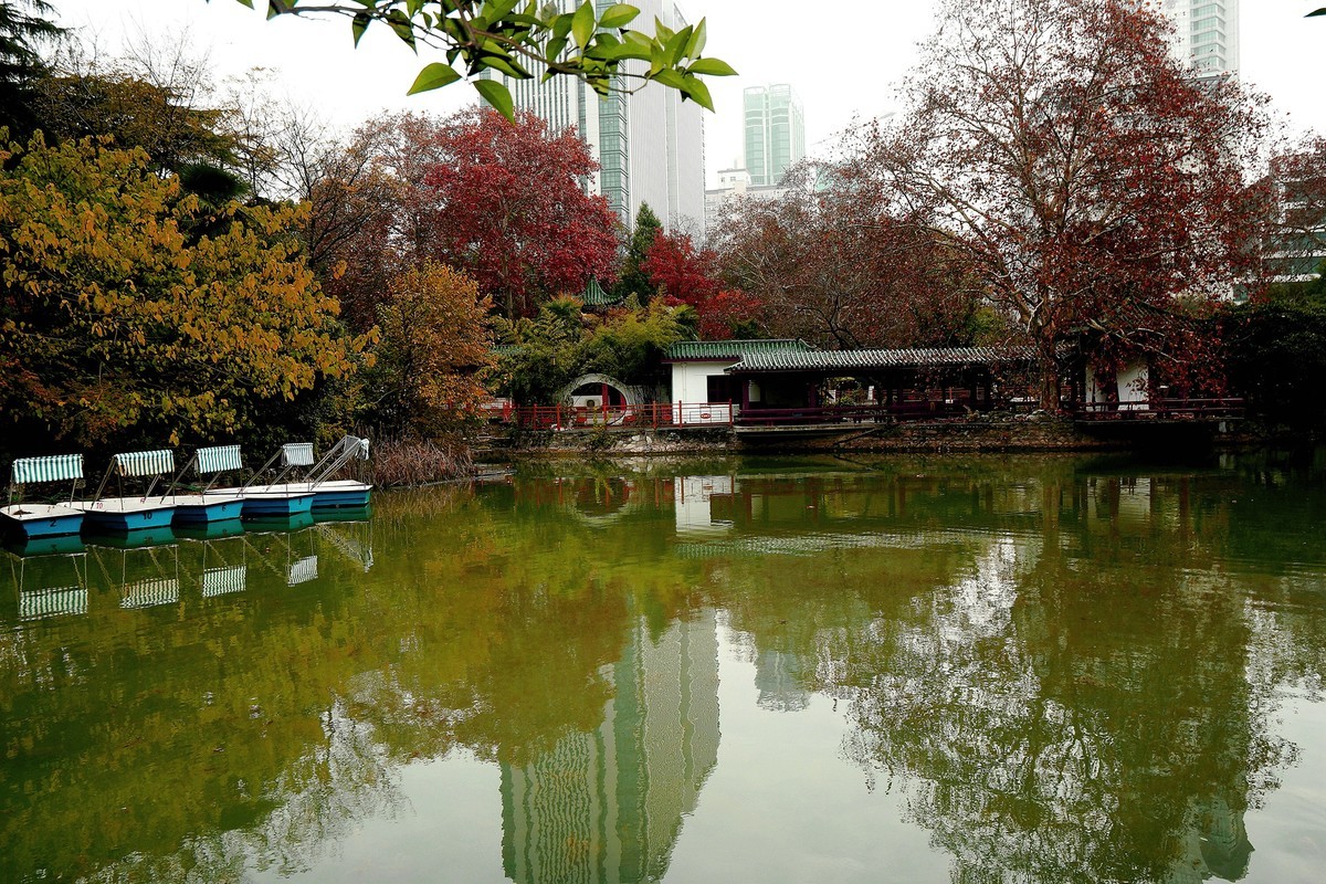 武漢印象----再拍初冬的中山公園!-中關村在線攝影論壇