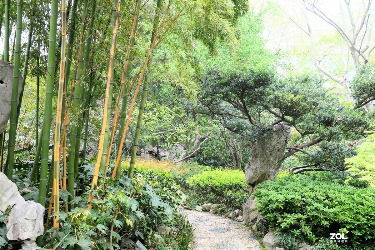 【八景图掠影】——摄于上海静安公园