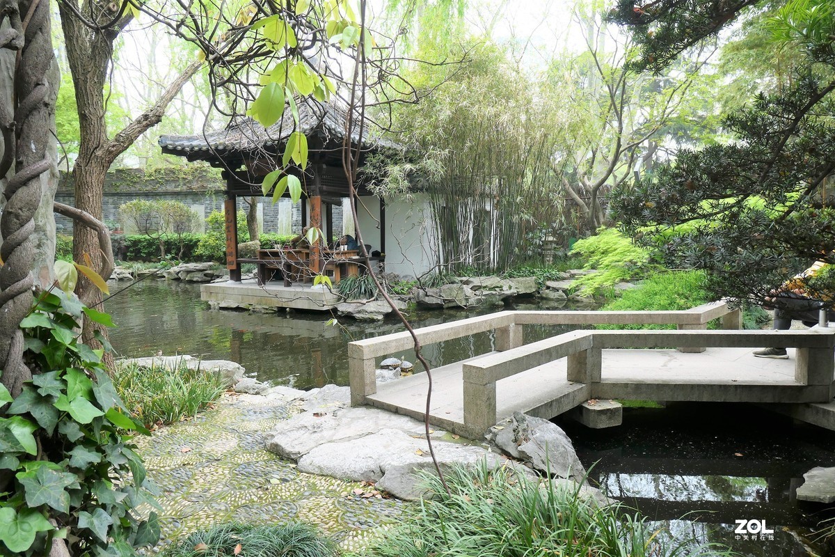 【八景图掠影】——摄于上海静安公园