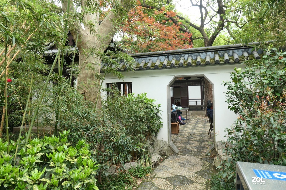 【八景图掠影】——摄于上海静安公园