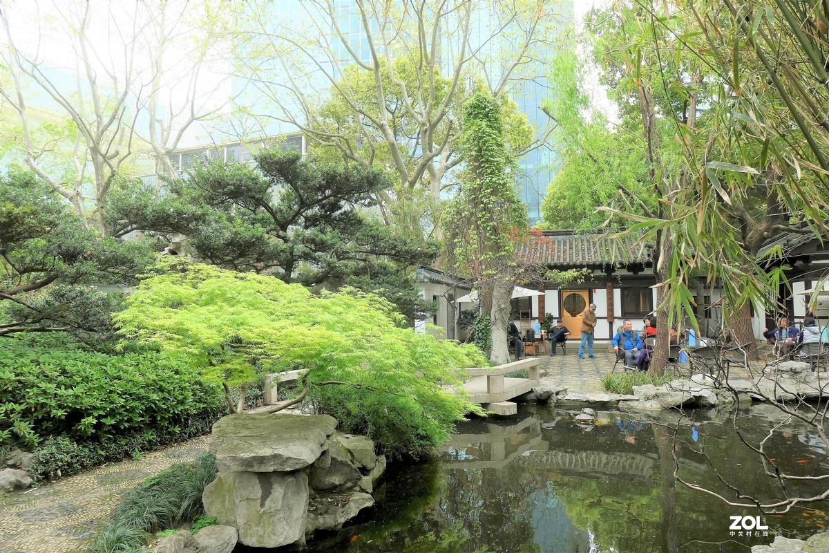 【八景图掠影】——摄于上海静安公园