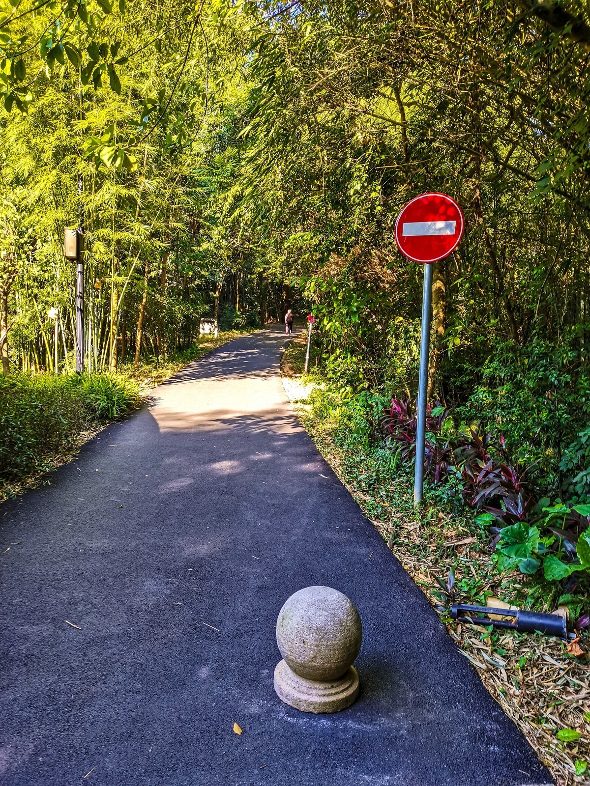 尝试手机拍片（讨论）