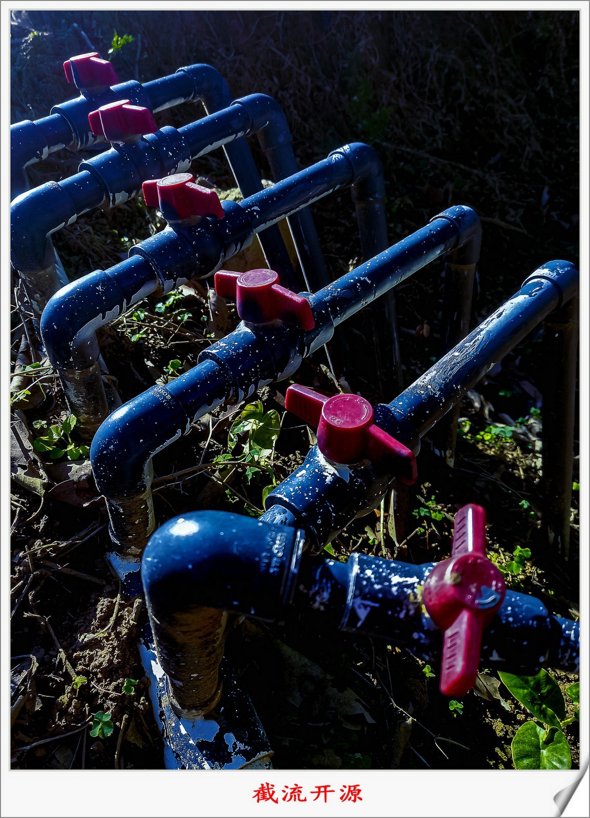 尝试手机拍片（讨论）