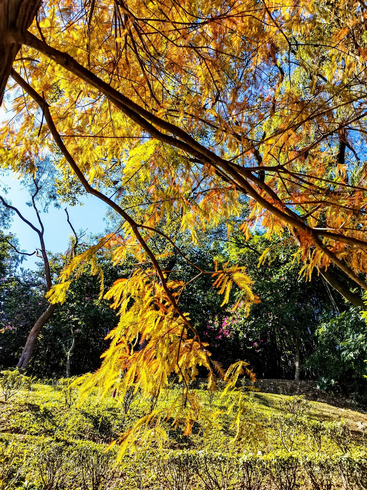尝试手机拍片（讨论）