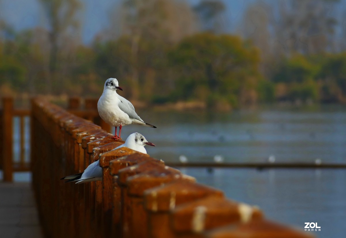 旧照整理三——2017年西昌琼海