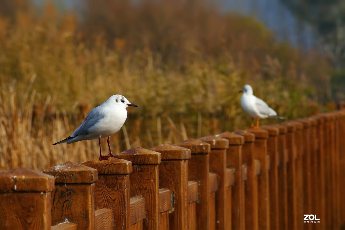 旧照整理三——2017年西昌琼海