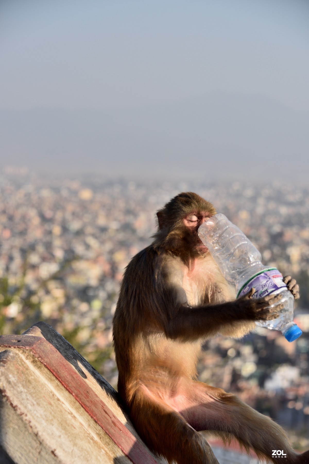 #版主坐堂#小五星空(中国)2020年12月精品荟萃