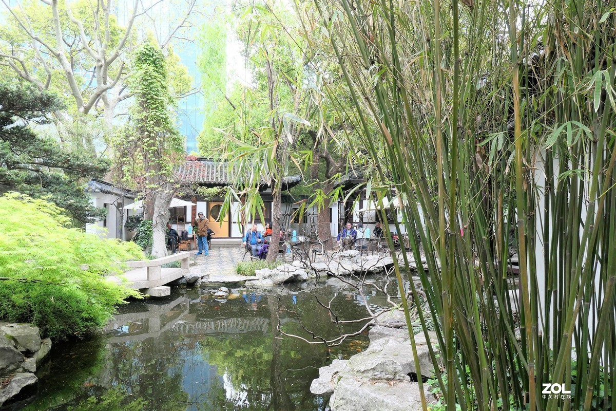 【八景图掠影】——摄于上海静安公园