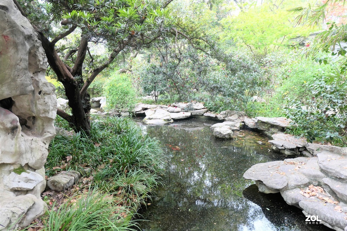 【八景图掠影】——摄于上海静安公园