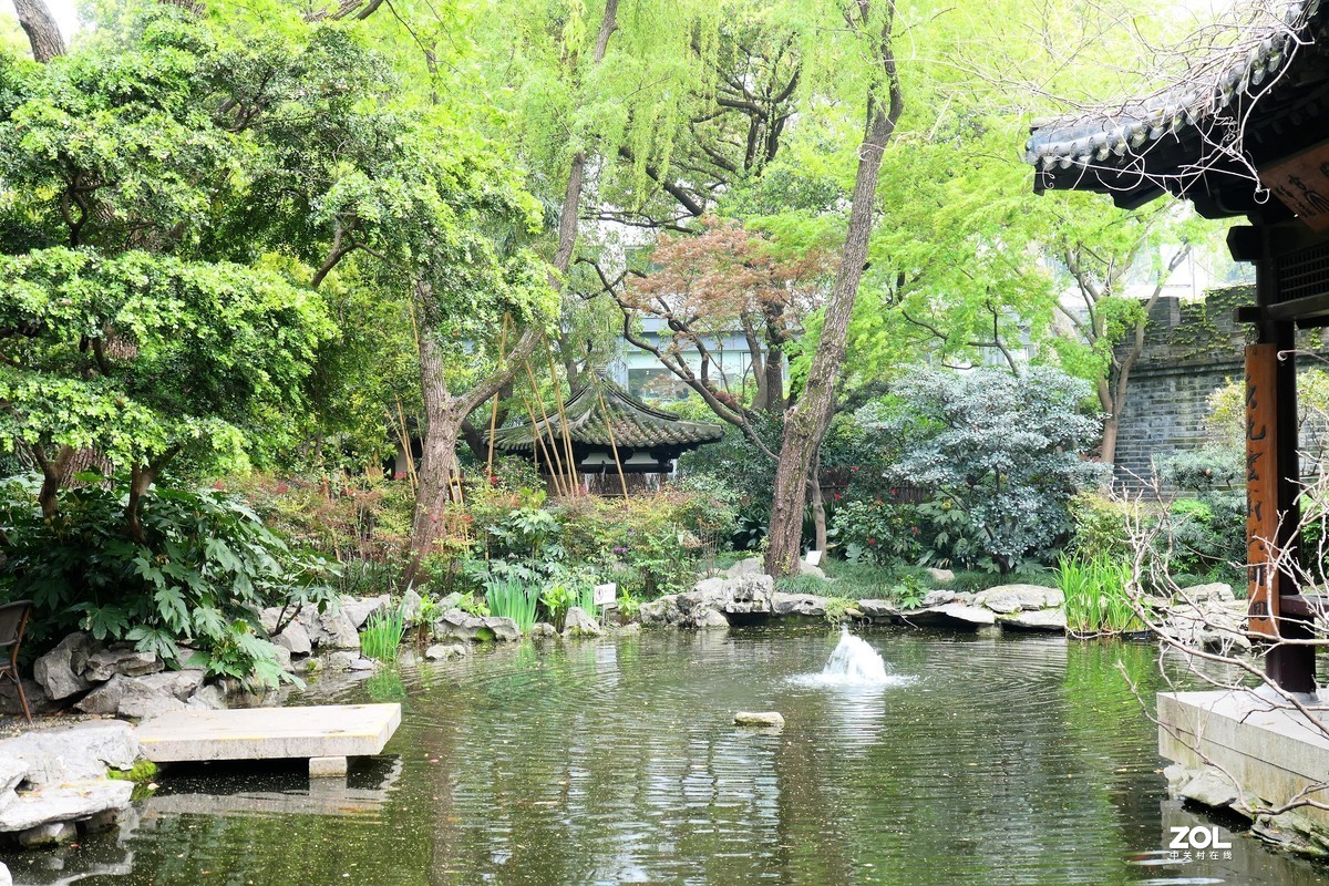 【八景图掠影】——摄于上海静安公园