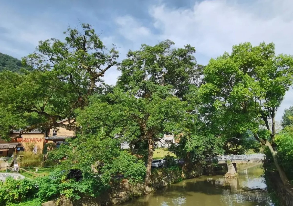 资兴云雾山民宿度假村图片