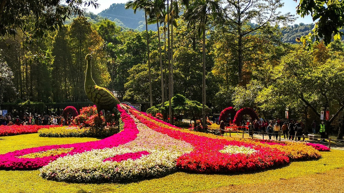 尝试手机拍片（讨论）