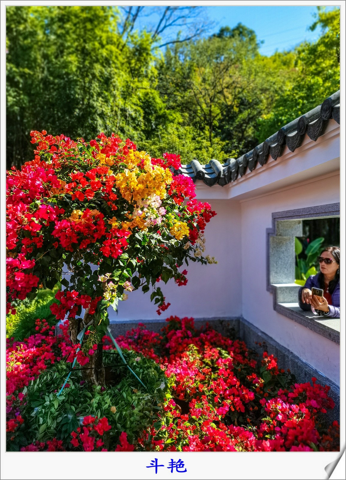 尝试手机拍片（讨论）