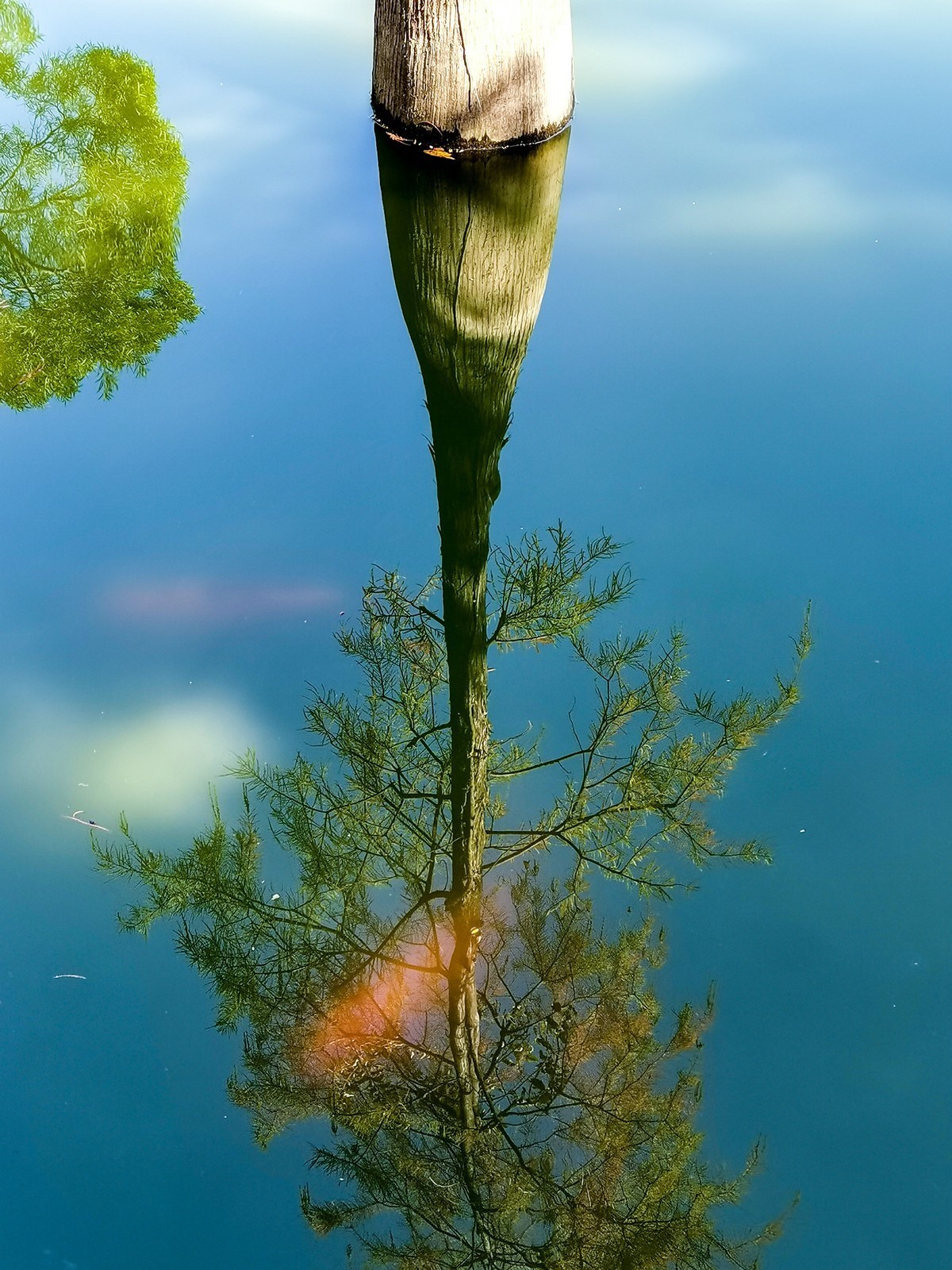 尝试手机拍片（讨论）