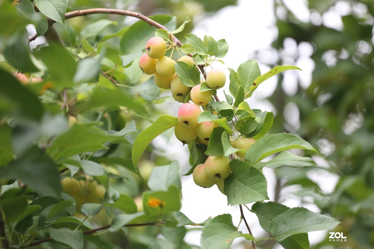 2019.8【秋】随拍