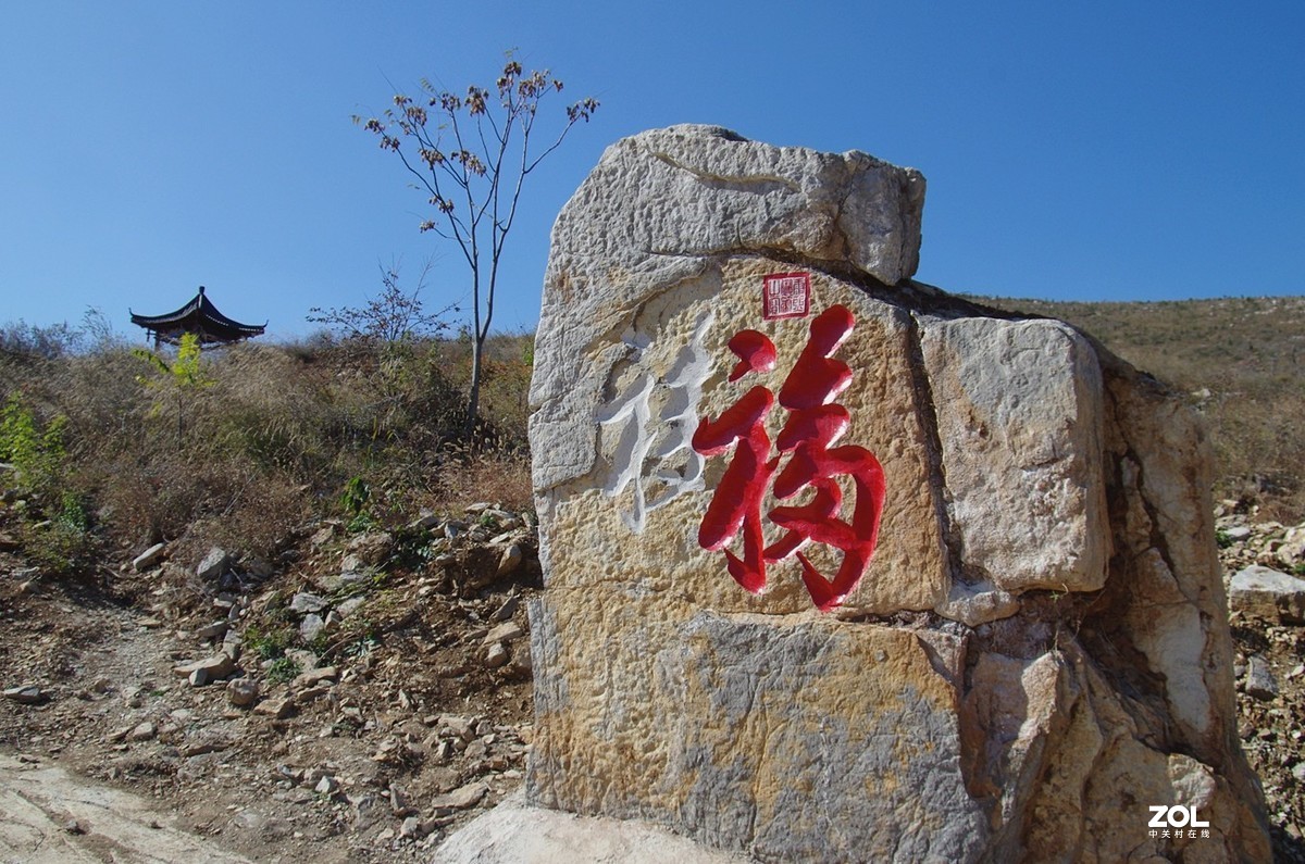 官护山秋色-11