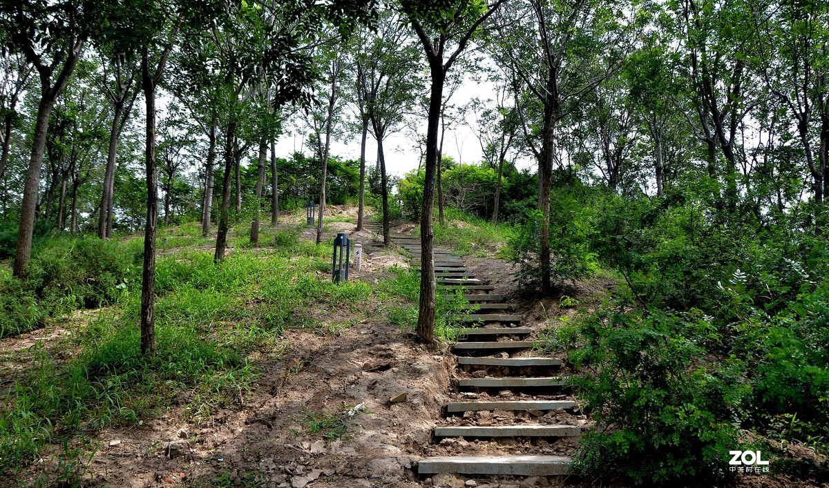 尼康d7000-18-200镜头试拍