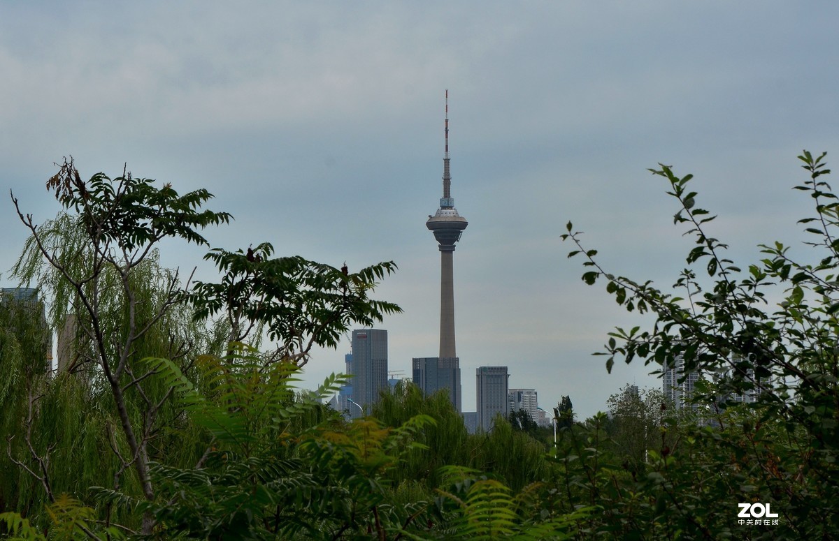 尼康d7000-18-200镜头试拍