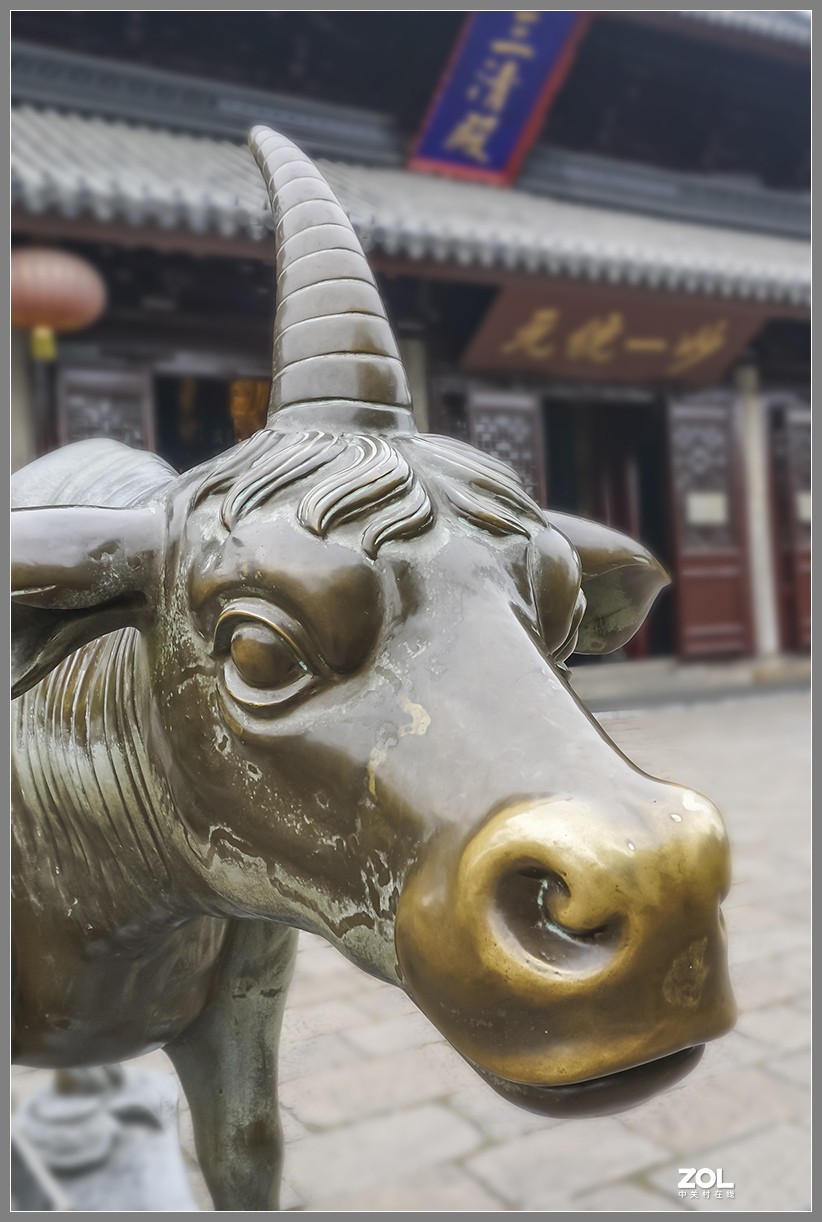 苏州2019：商街玄妙观与大隐于市的怡园（A7RM2拍摄）