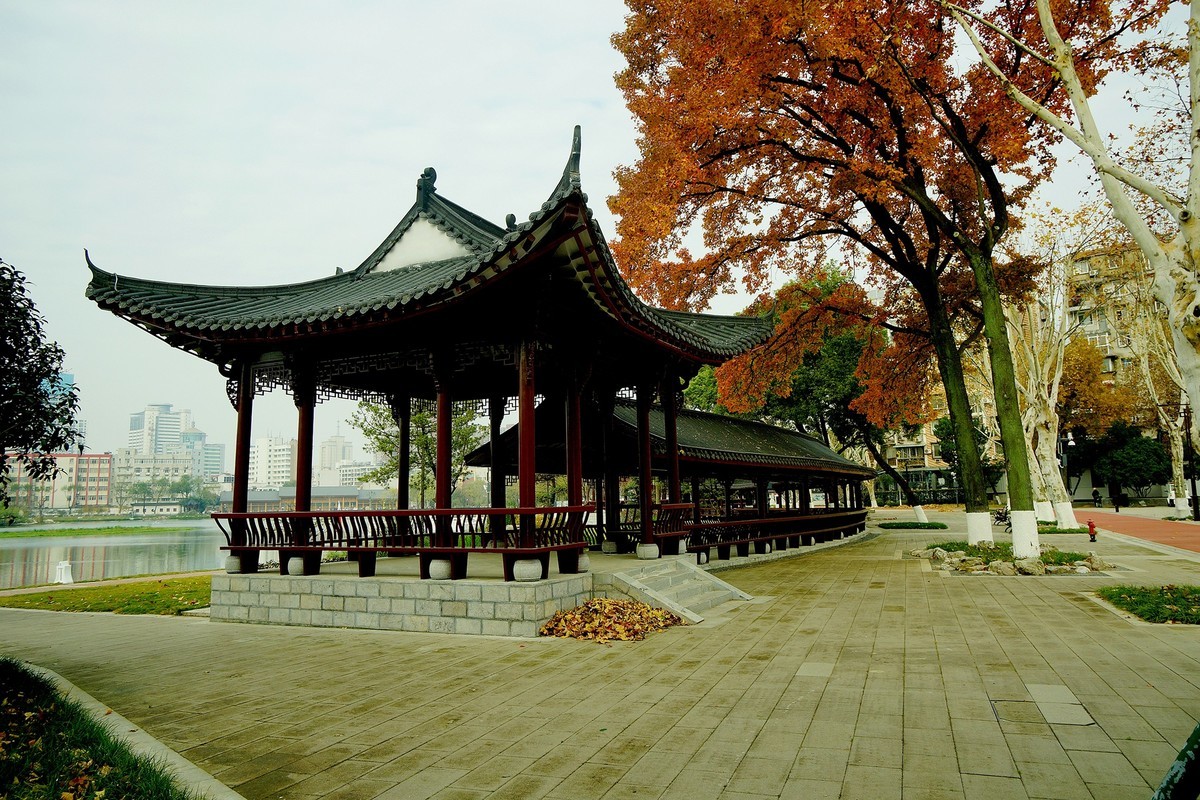 武汉印象---武昌紫阳湖公园风光!