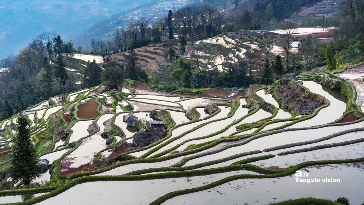 哈尼梯田（13）