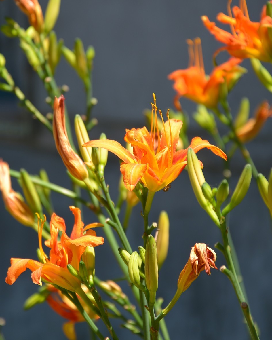 D610试机，直出，无后期