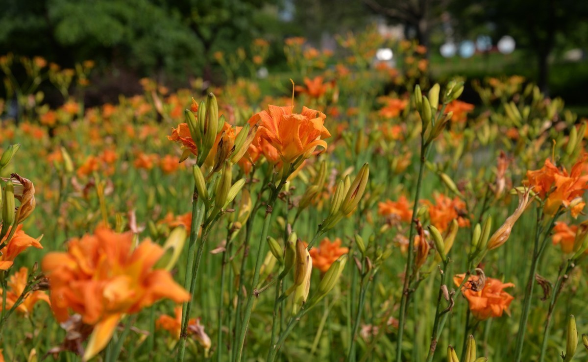 D610试机，直出，无后期