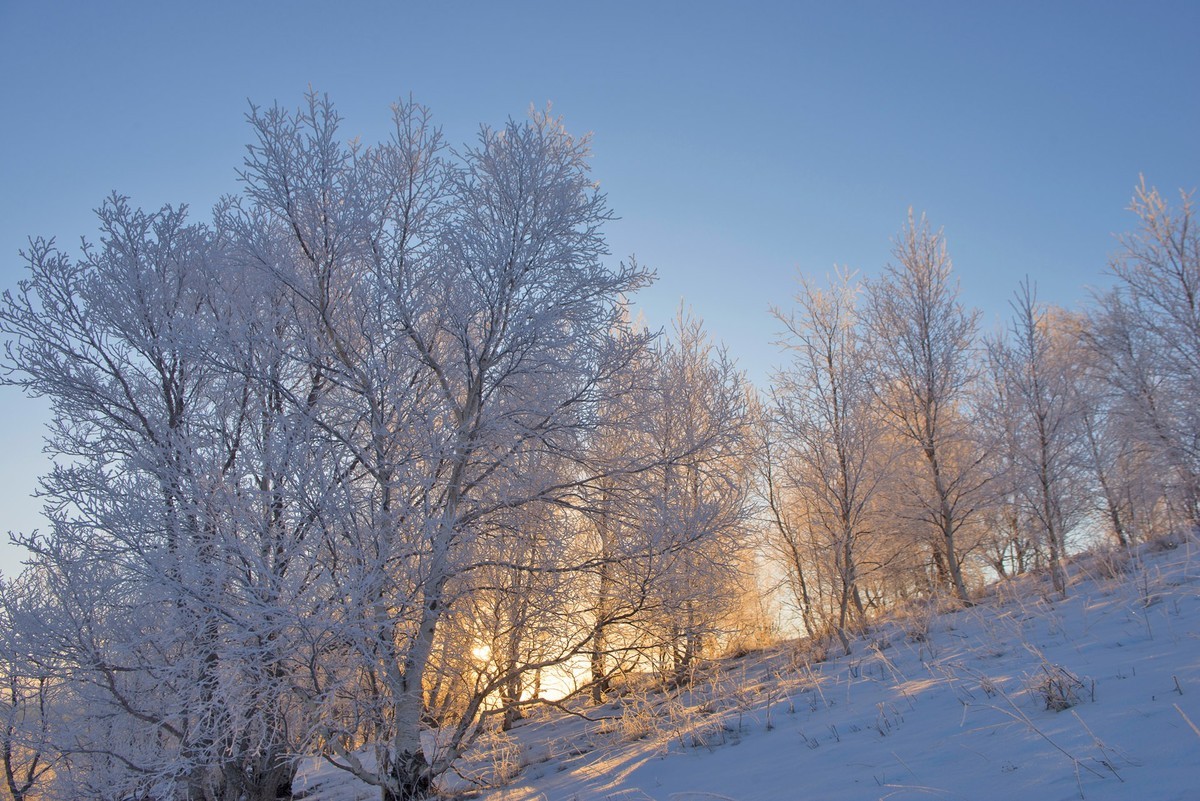 北国风光之御道口草原森林风景区的冬季日出