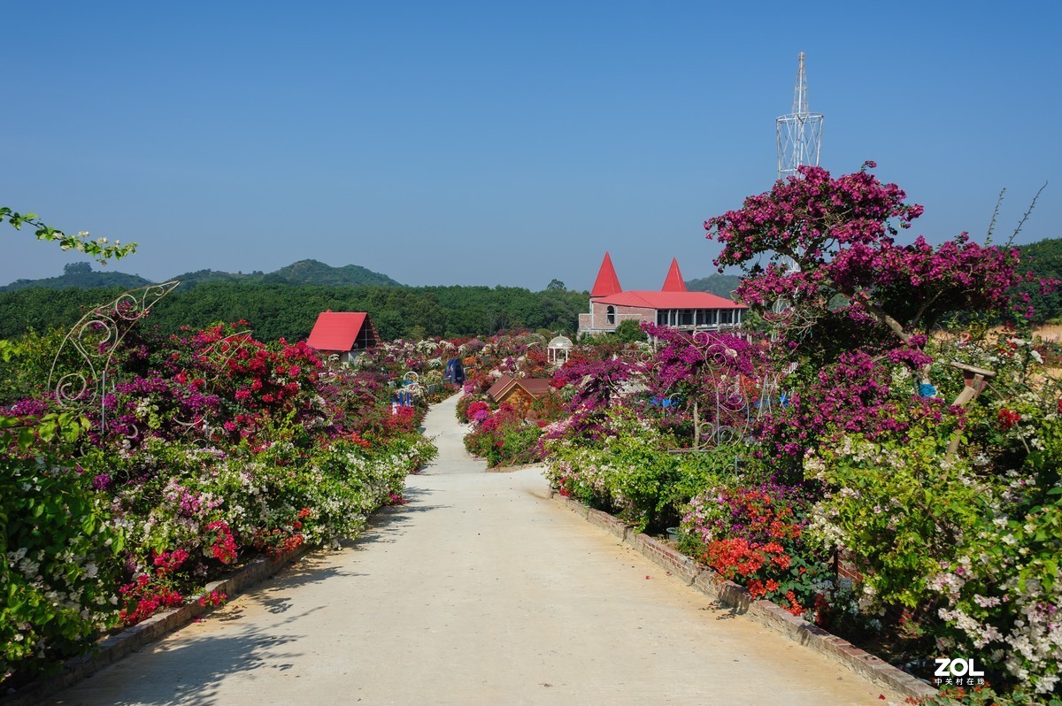 繁花似锦粤龙山（Capture NX 2软件简单处理）