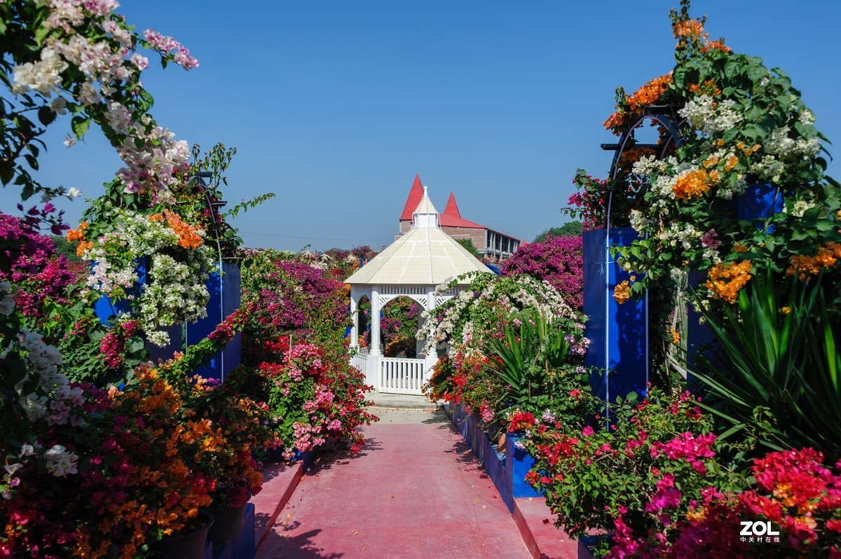 繁花似锦粤龙山（Capture NX 2软件简单处理）