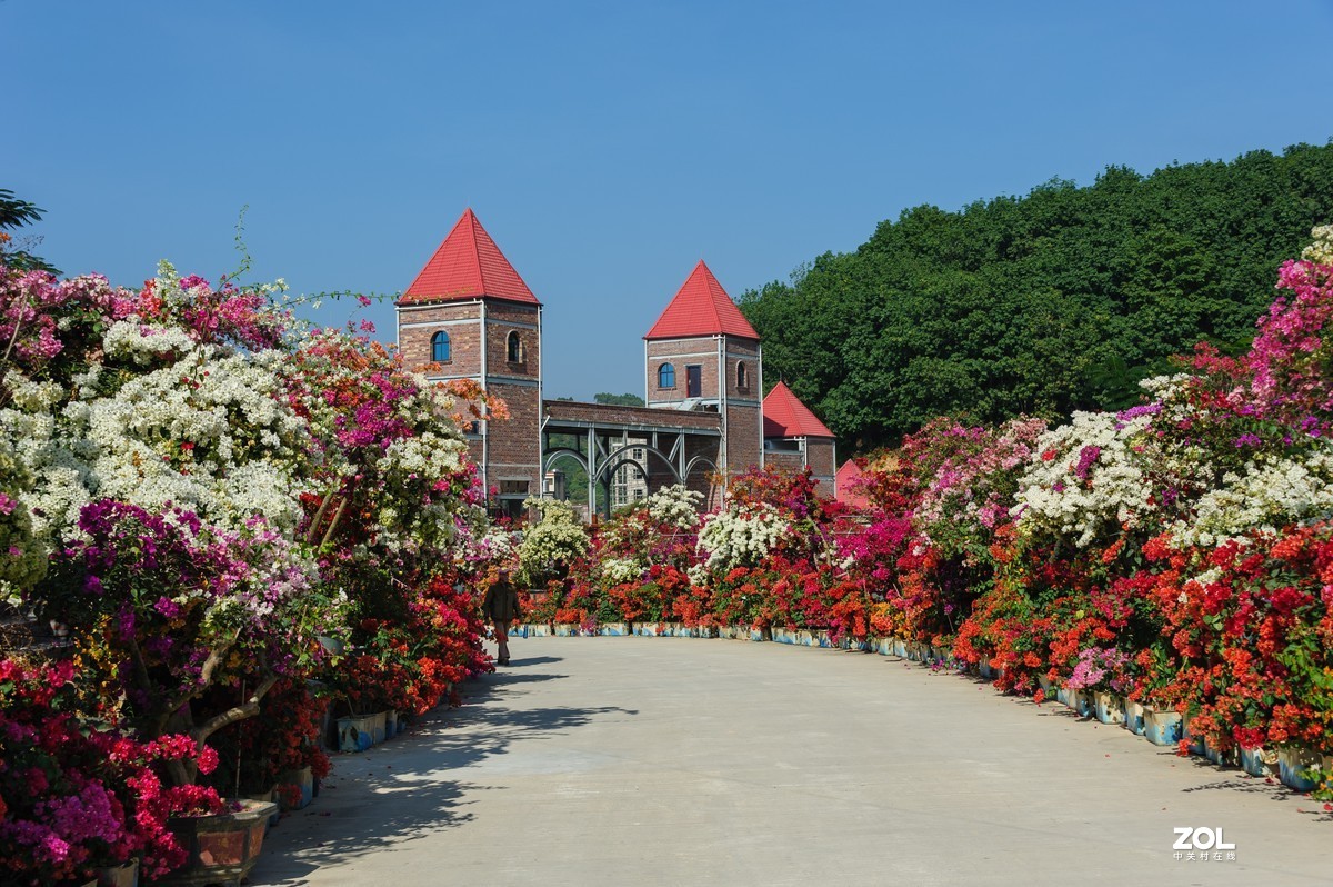 繁花似锦粤龙山（Capture NX 2软件简单处理）