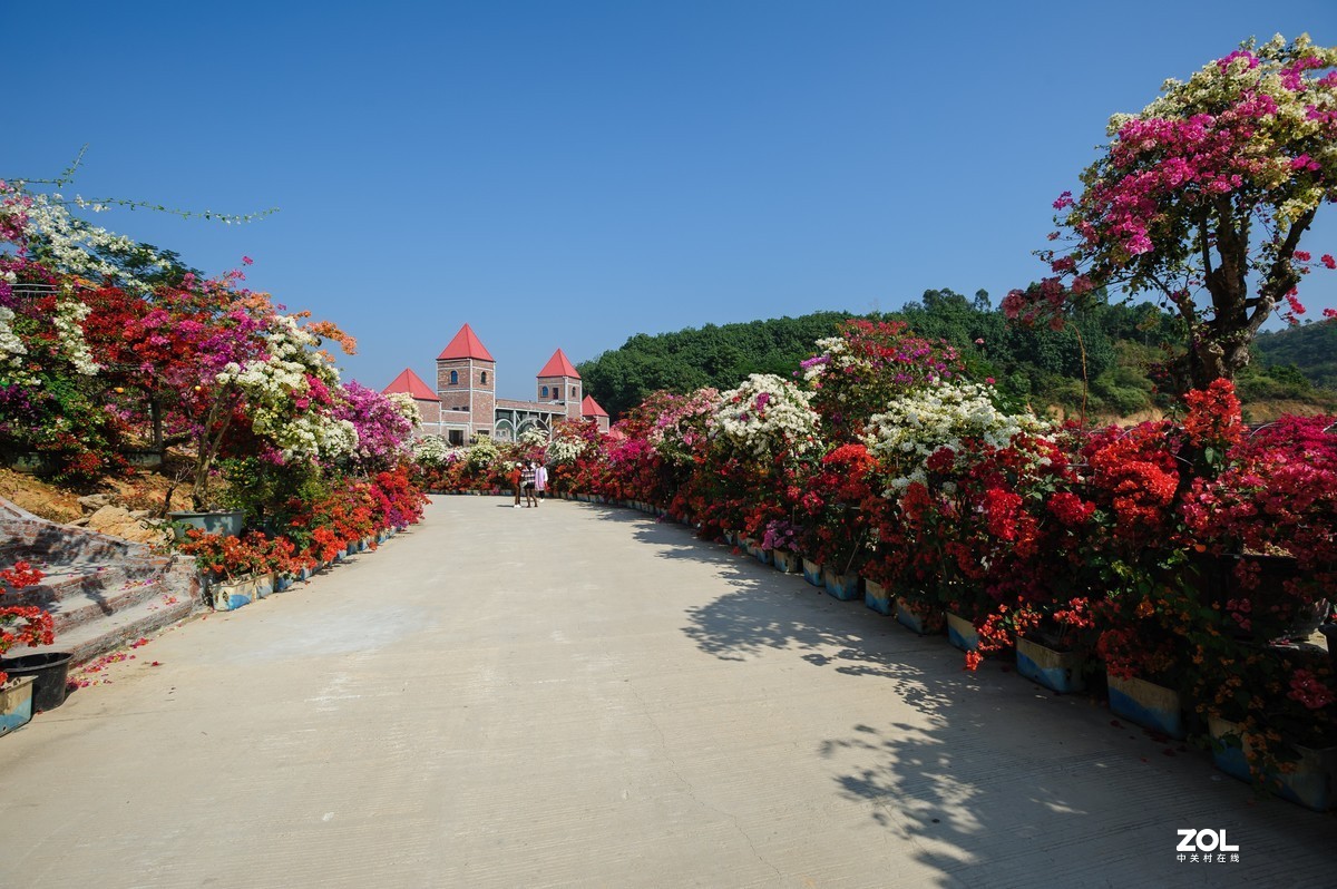 繁花似锦粤龙山（Capture NX 2软件简单处理）
