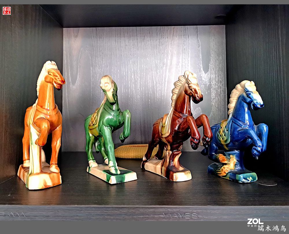 【手机随拍】乔迁新禧暖新房