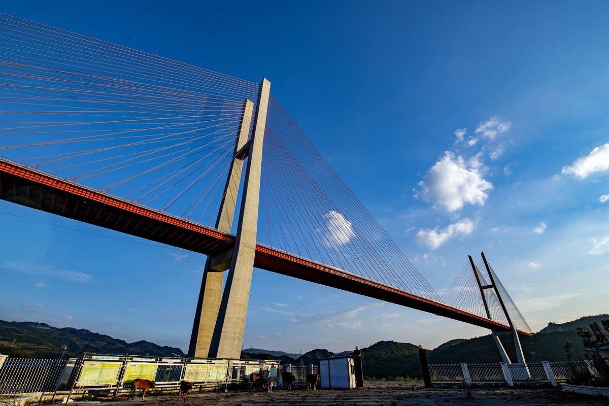 “桥”瞧贵州（下） - 当代先锋网 - 图片