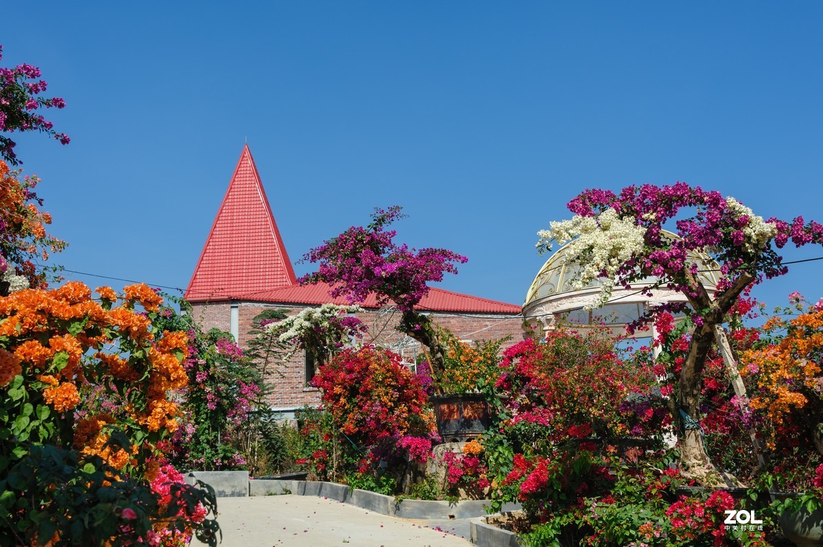 繁花似锦粤龙山（Capture NX 2软件简单处理）