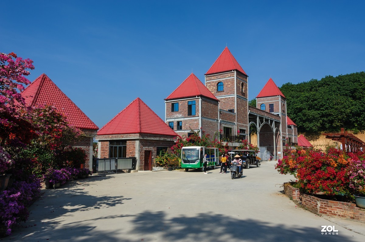 繁花似锦粤龙山（Capture NX 2软件简单处理）