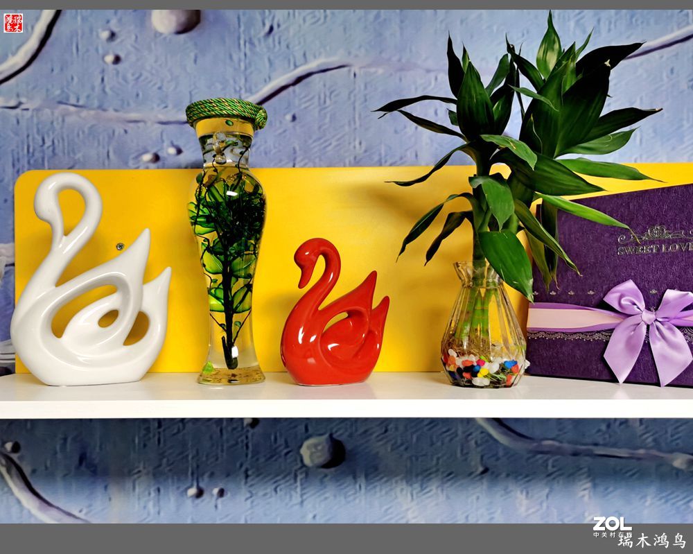 【手机随拍】乔迁新禧暖新房