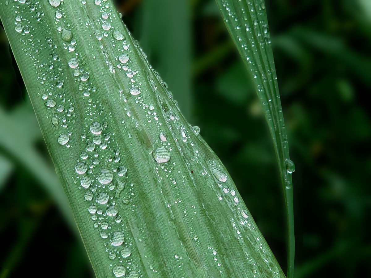 携一组索尼旗舰手机(xperia 1 ll )图片问候 永不败落的神圣丶鹿鸣1965两位版主