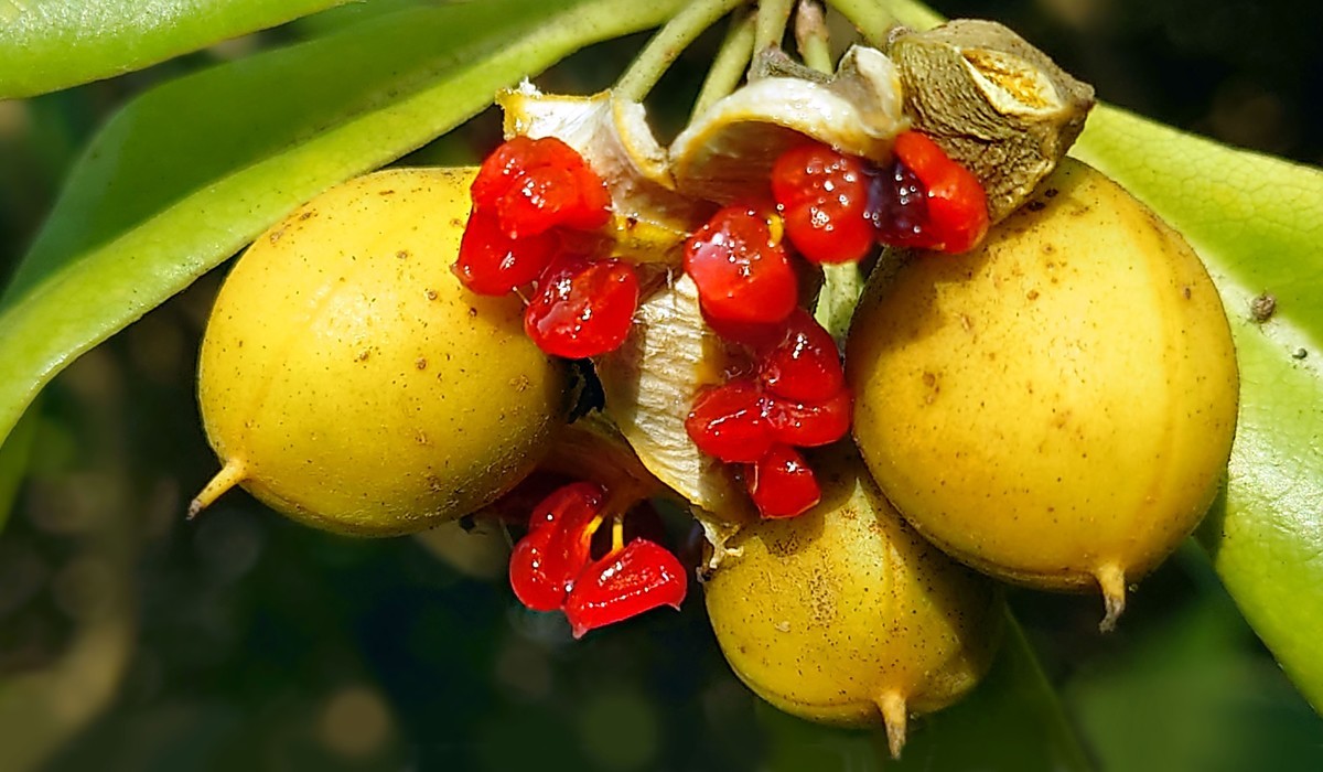 携一组索尼旗舰手机(xperia 1 ll )图片问候 永不败落的神圣丶鹿鸣1965两位版主