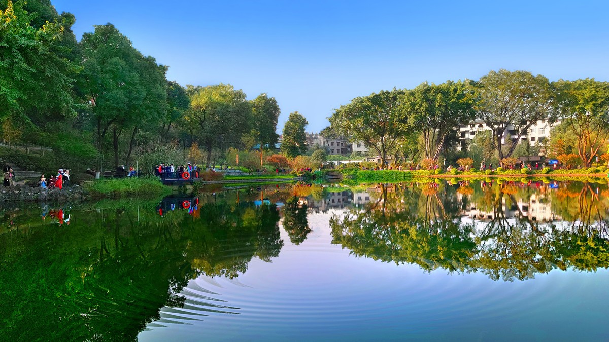 携一组索尼旗舰手机(xperia 1 ll )图片问候 永不败落的神圣丶鹿鸣1965两位版主