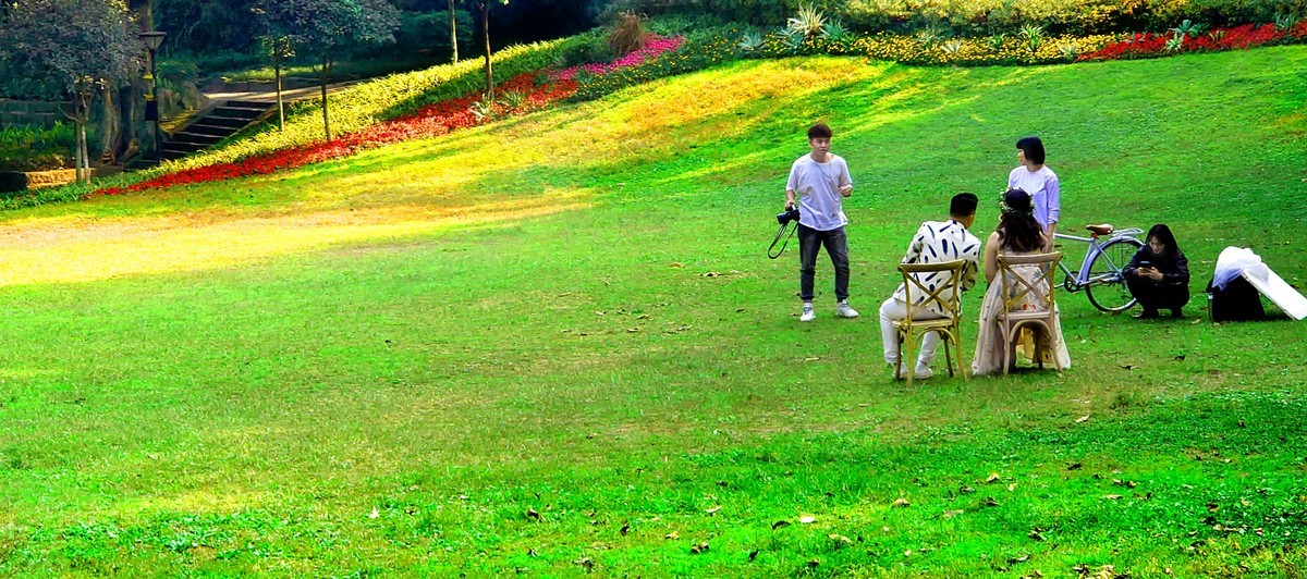 携一组索尼旗舰手机(xperia 1 ll )图片问候 永不败落的神圣丶鹿鸣1965两位版主