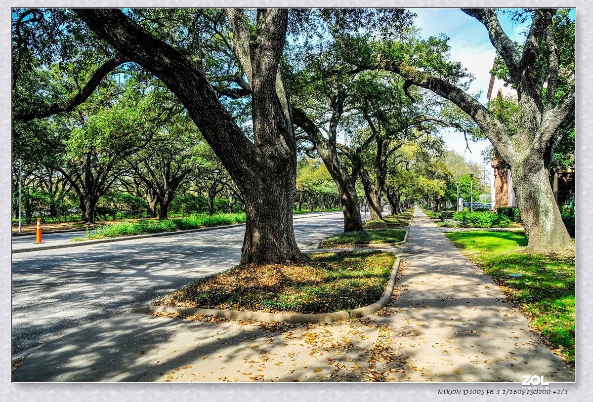 休斯顿之 --赫尔曼公园
